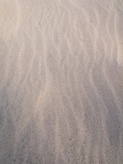 sand ripples on the beach
