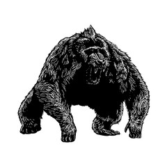 Dinopithecus hand drawing vector isolated on background.