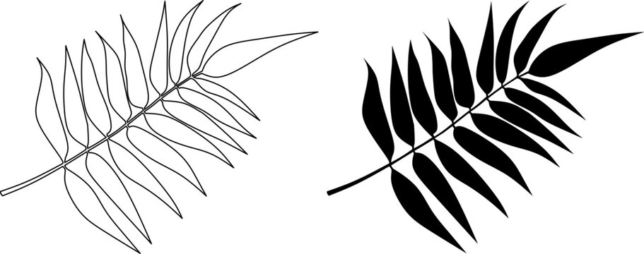 outline silhouette silver fern leaves icon set