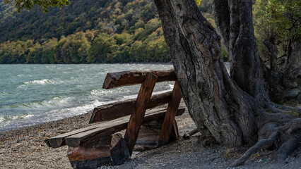 A picturesque bench made of unpainted logs stands on the shore of the emerald lake next to a tree. The texture of the bark. Green vegetation on the shore. Argentina. Tierra del Fuego National Park.