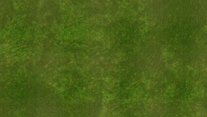 Green grass texture for sport background. Detailed pattern of green soccer field or football field grass lawn texture. Green lawn texture background. Close Up. 3D Rendering