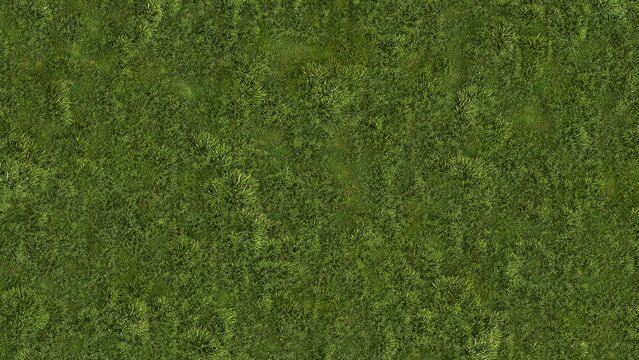 Green grass texture for sport background. Detailed pattern of green soccer field or football field grass lawn texture. Green lawn texture background. Close Up. 3D Rendering
