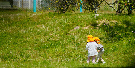 初夏の公園で遊んでいる保育園の子供達