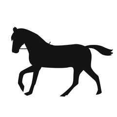 Black horse isolated on transparent background. PNG horse 