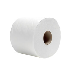 Toilet paper roll - obrazy, fototapety, plakaty