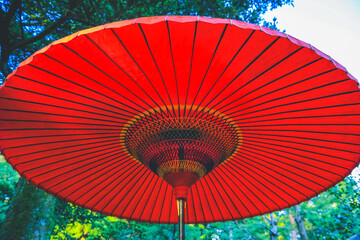 a close up of Japanese red umbrella at Kenroku Garden