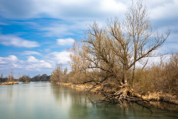 Bewachsene Inseln im Weitmannsee bei Kissing, Bayern