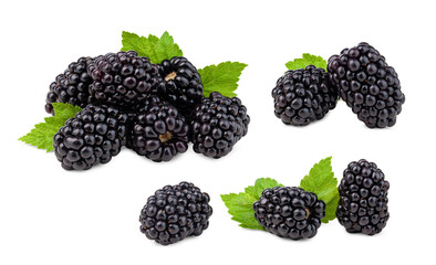 set of blackberries with leaves isolated on white background.
