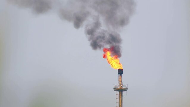 Petroleum refinery gas flare blazing fire pouring thick black smoke into the blue sky from chimney stack - 4K footage