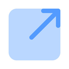 maximize duotone icon