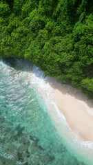 Amazing wild beach. Top view to the beautiful coast. Green trees at the beach and clear turquoise water of the ocean