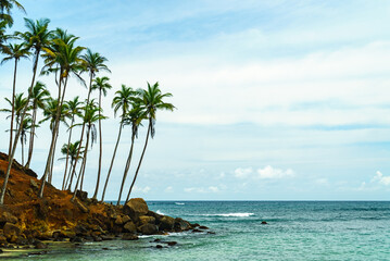 Tropical landscape with palm trees on an island in cloudy weather