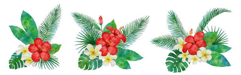 ハイビスカス等のトロピカルな草花の水彩画イラスト