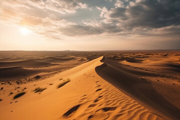 Fototapeta na wymiar Panorama of sand dunes at sunset. Endless dunes of yellow sand. Desert landscape. Waves sand nature