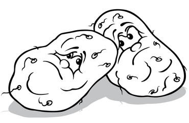 Drawing of Two Grumpy Potatoes
