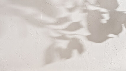 Abstract sun light shadow silhouette on beige textured wall, aesthetic floral background, copy space