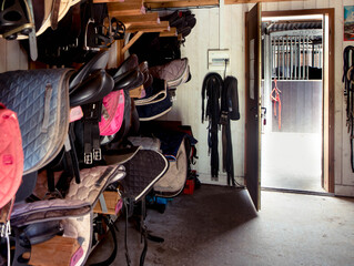 Saddlery in a club for equestrian sport in an equestrian center
