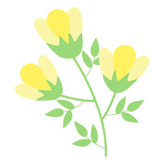 Spring flower branch with leaf. Blooming summer floral flat vector illustration isolated on white background.