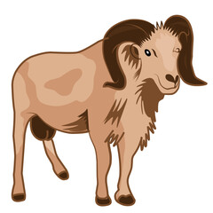 Illustration Sacrifical animal Or qurban animal to celebrate eid al adha.