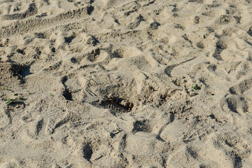 footprint in the sand