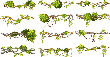 Liana branches, ivy and tropical leaves. Set of creeper jungle. Isolated cartoon vector hedera helix on white background.