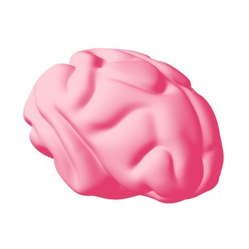 Human brain Anatomical Model.