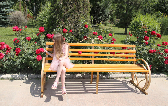 A little girl sits on a bench among red roses