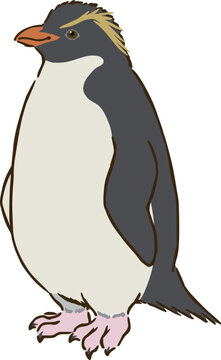 Rockhopper Penguin Clipart Two