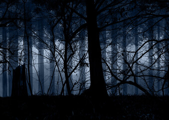 薄暗い青い森の中