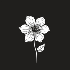White flower on black background. Vector illustration. 