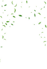 Forest Foliage Organic Vector White Background