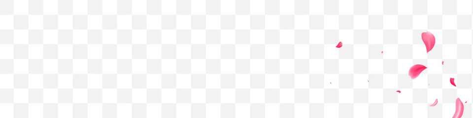 Red Rose Blur Vector Transparent Panoramic