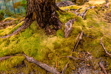 The background of the sea by the evening sea, with natural beauty (sea water, rocks, sky) and fishermen are fishing by the river bank, is a pleasure during travel.