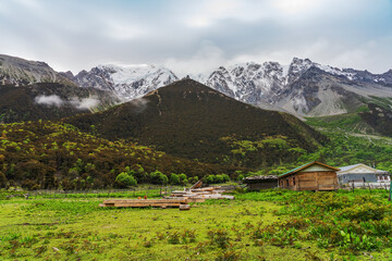 Beautiful Plateau Pasture and Meili Snow Mountain in Linzhi City, Tibet Autonomous Region, China