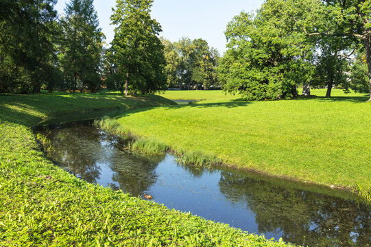 Summer city park with green lawns, shady grove of trees and canal with wild ducks on sunny day. Beautiful summer landscape. Natural background. Country recreation and outdoors
