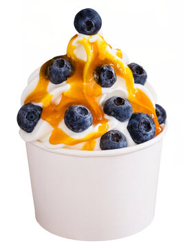 Frozen Yoghurt im Pappbecher mit Blaubeeren und Honig