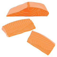 Vector illustration of fresh raw salmon, trout, tuna fillet. Fresh delicious seafood meat cartoon drawing for digital resources.