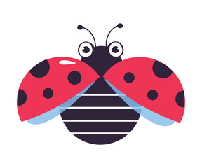 Cute flying ladybug. Funny little ladybird insect cartoon vector illustration