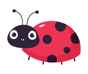 Cheeful ladybug. Cute little ladybird insect cartoon vector illustration