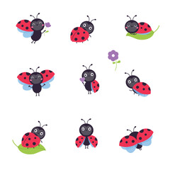 Cute funny ladybugs set. Little ladybird insects in different poses cartoon vector illustration © topvectors