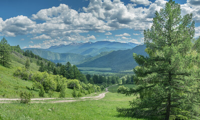 View of the mountain valley from the pass, road, summer greenery of meadows and forests