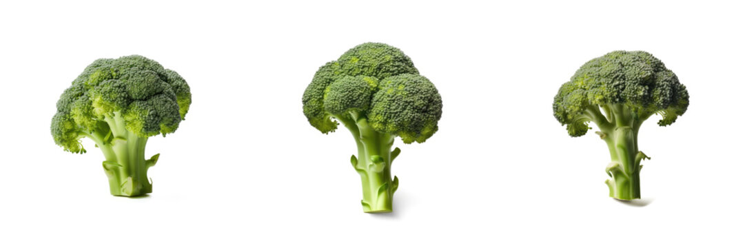 A vivid green Broccoli sits on a spotless white surface, created by Generative AI
