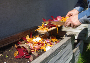 Compost from kitchen organic waste and home recycling