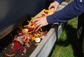 Compost from kitchen organic waste and home recycling