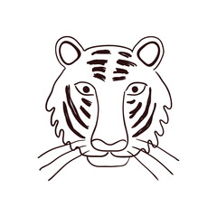 Cute tiger face, portrait hand drawn cartoon character illustration, sketch. Line art, drawing style design, isolated vector. Tropical animal, jungle wildlife, big cats, safari, nature, print element