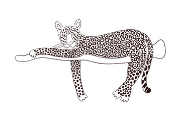 Cute leopard laying down hand drawn cartoon character illustration, sketch. Line art, drawing style design, isolated vector. Tropical animal, jungle wildlife, big cats, safari, nature, print element