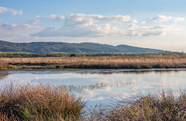 Bog  Grosses Torfmoor in Germany.