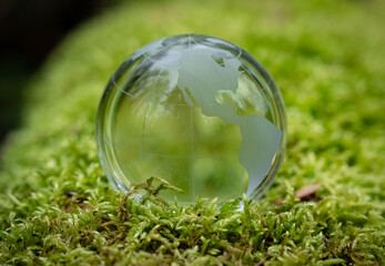 glass earth globe in forest.