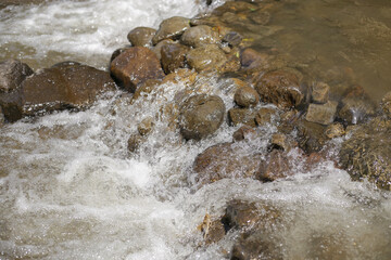 a river flowing in a forest filled with stones