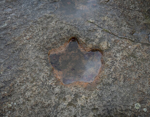 The footprint of dinosaur with rain water on rock